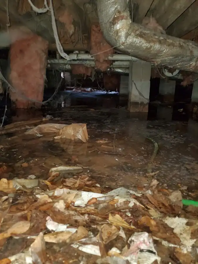 Crawl space flood assessment for Leak Detection & Repair in Carlsbad