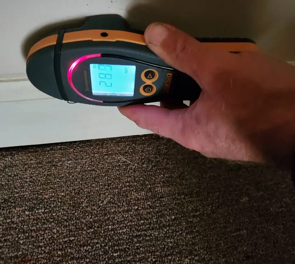 Moisture detection at baseboard during Sewage Cleanup & Sanitation in Carlsbad